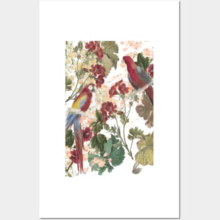 Parrots and Flora Posters and Art